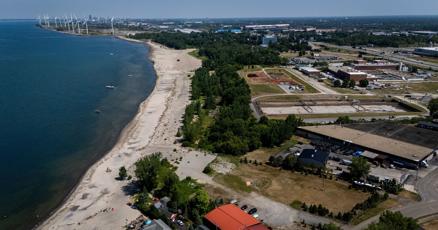 TheBuffaloNews's tweet card. Woodlawn Beach State Park in Blasdell and Hamburg Bathing Beach both regularly saw many days with elevated levels of E. coli bacteria – which can be found living on fecal matter – when tested last...