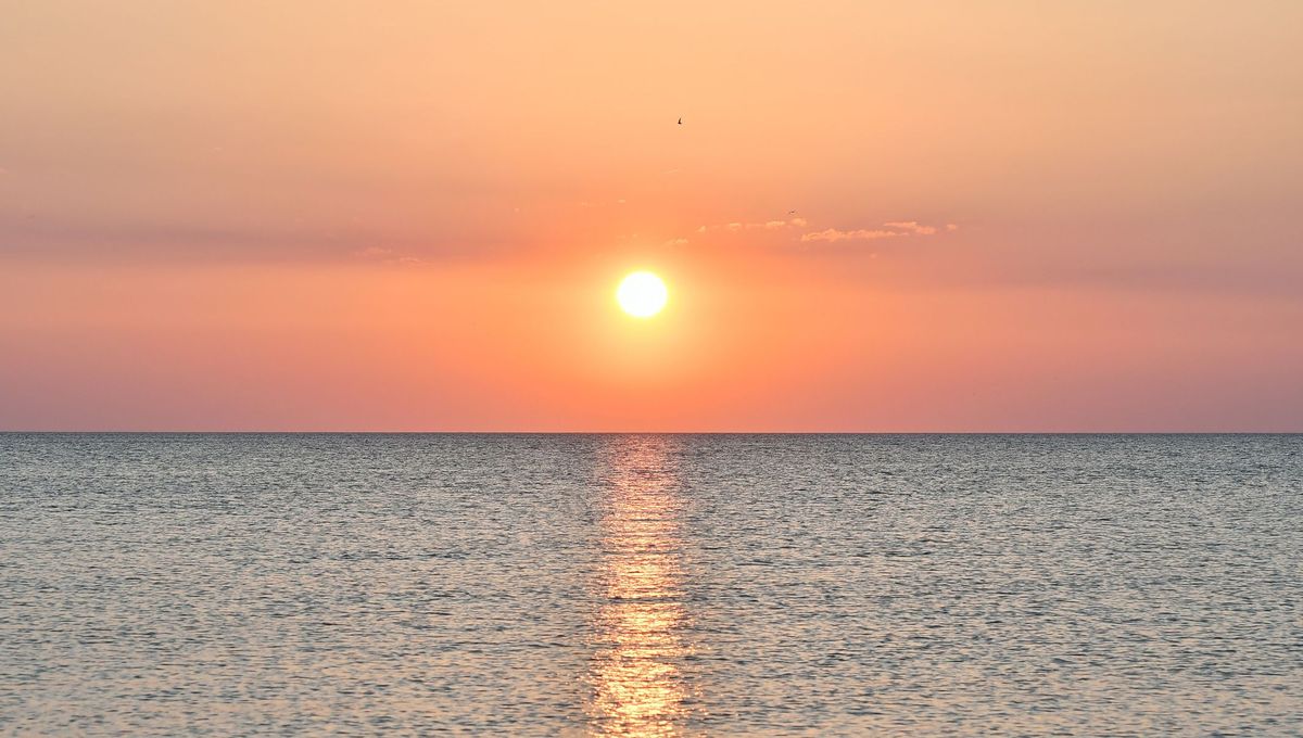 MarinaLocean's tweet card. Parce que le réchauffement climatique, nous le constatons cet été, une fois de plus, s’amplifie… A-t-il un impact sur l’océan, et sous quelles formes ? Comment se traduit-il sur l’océan ? Marina...