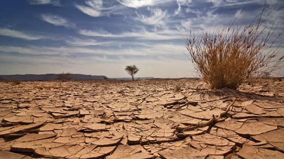 CornellGrad's tweet card. Researchers found that human-caused climate change and air pollution have directly reduced precipitation in the Southwestern U.S., making drought inevitable. 