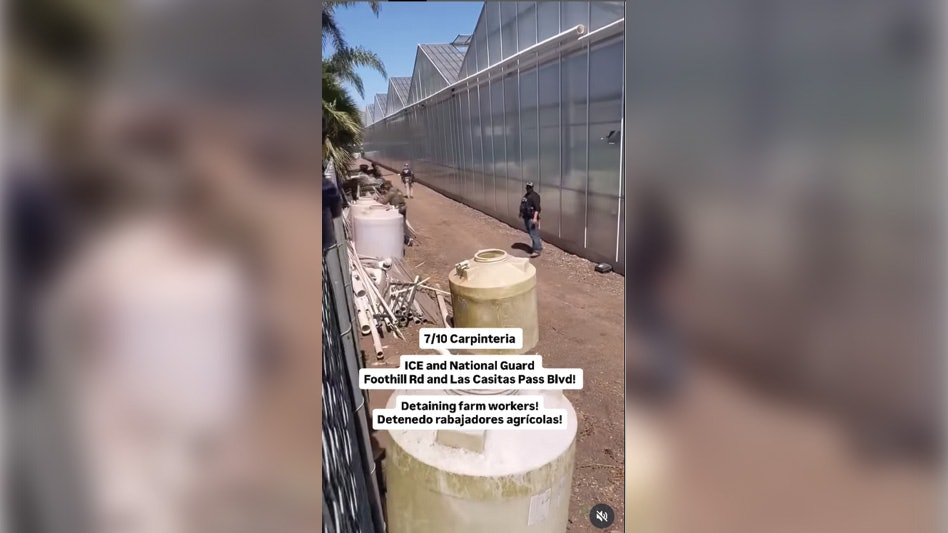 CBTmag's tweet card. Cannabis farms in California have been raided by ICE agents and the National Guard, resulting in 10 farm workers being detained and protesters clashing with officials.