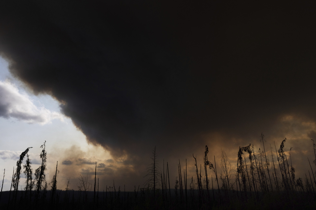 firenation's tweet card. The Canadian government is considering new measures to improve the country’s firefighting services, with a particular focus on preventing wildland fires as the wildfire season continues to be a...