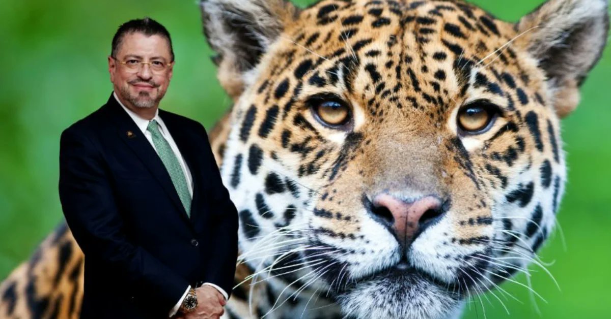 La_Republica's tweet card. El TSE alertó a los jerarcas del Ejecutivo, incluido el presidente Rodrigo Chaves, sobre el uso indebido del jaguar