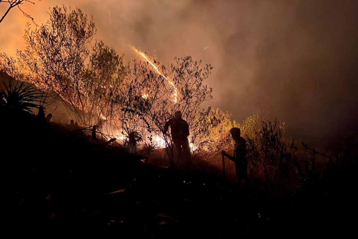 MonteroQuercus's tweet card. En 2024, los incendios forestales llegaron a niveles sin precedentes en toda América Latina. Un reciente análisis elaborado por el Programa de Monitoreo de la Amazonía Andina (MAAP, por sus siglas en...
