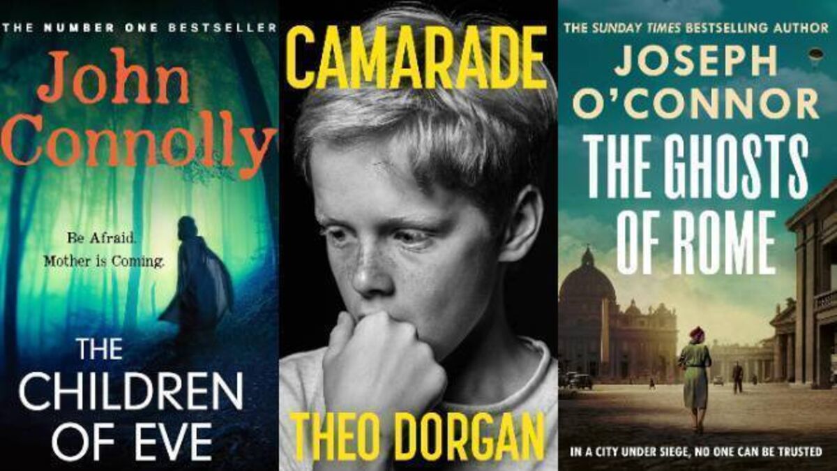 johnpamchugh's tweet card. Looking for a book for beach or a shady spot in your garden? Richard Fitzpatrick offers his fiction picks for the first half of the year 