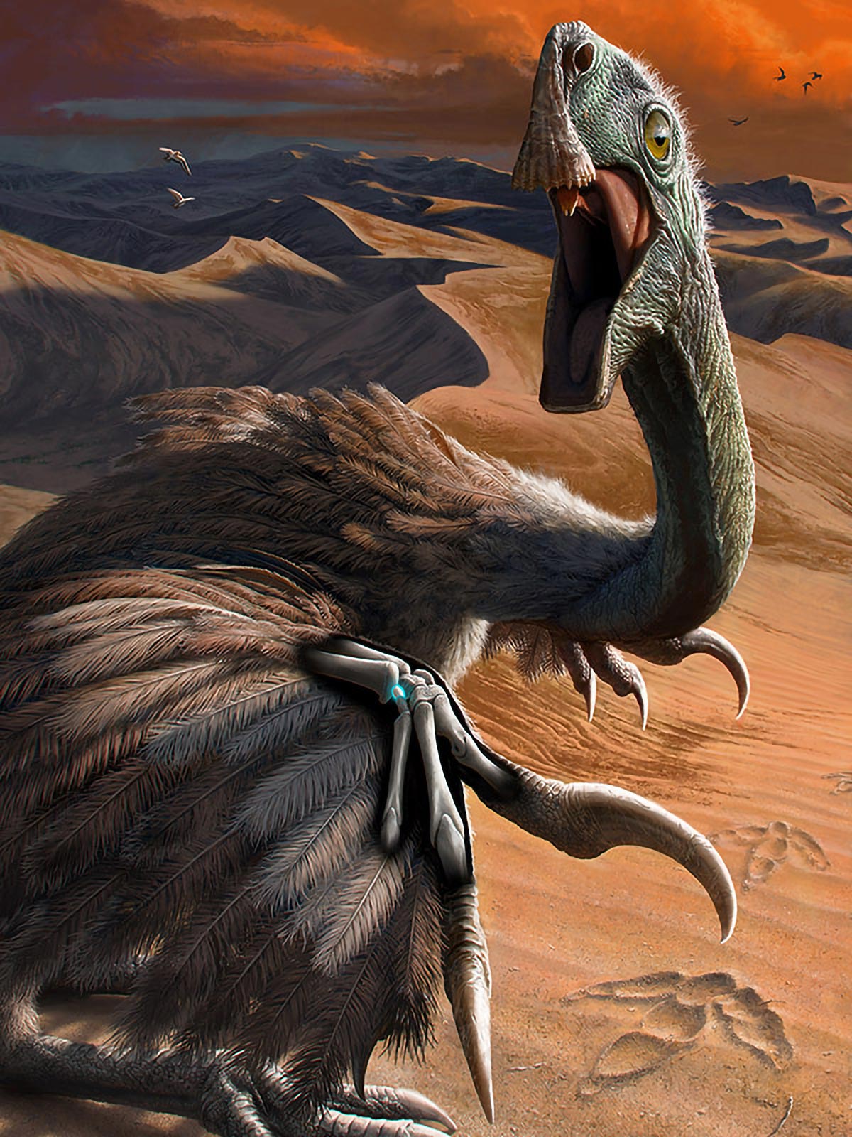 _Georgeobeid's tweet card. A pivotal wrist bone in birds appears earlier in theropods. This could shift views on how flight evolved. An analysis of two theropod dinosaur fossils reveals they possessed a type of wrist bone that...