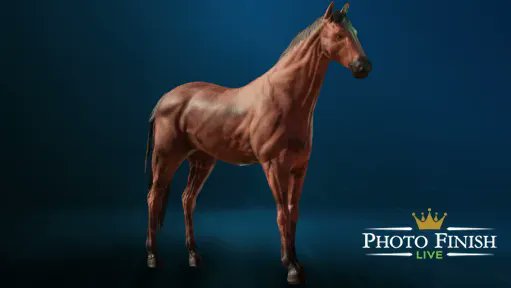 queenbeanracing's tweet card. Age 21 | Mare | Queen Bean Racing