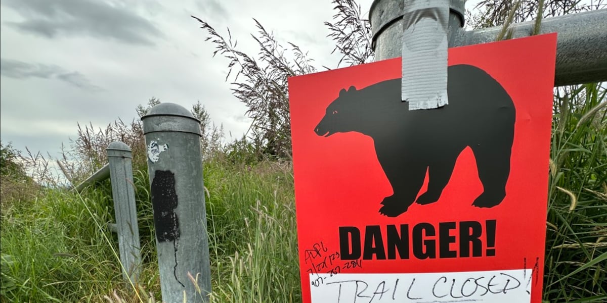 GOMHunting's tweet card. First responders launched a rescue operation Tuesday after a reported bear mauling near the Basher Trail in Anchorage’s Stuckagain Heights area.