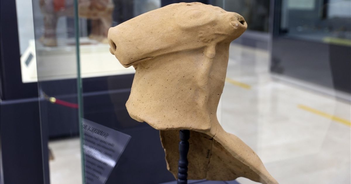 AncientHistX's tweet card. A Hittite bull-headed jug fragment discovered in Şarkışla reveals ancient ritual practices and craftsmanship.