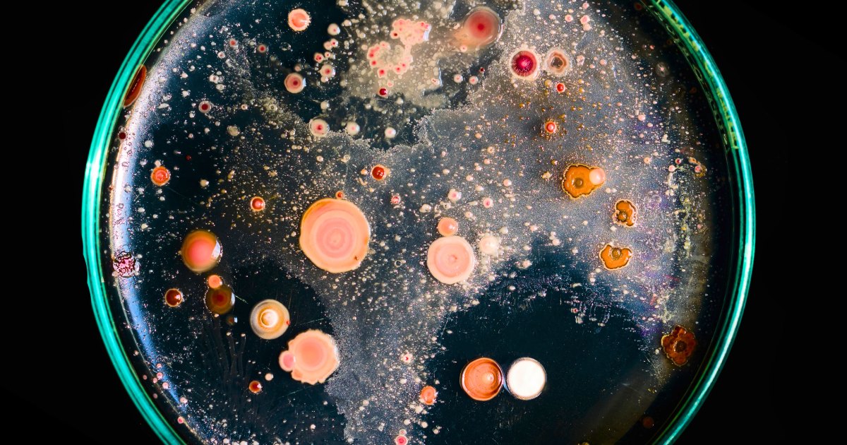 KacarLab's tweet card. These microbes endured the unlivable. The NASA astrobiologist who studies them reveals what that means for us today