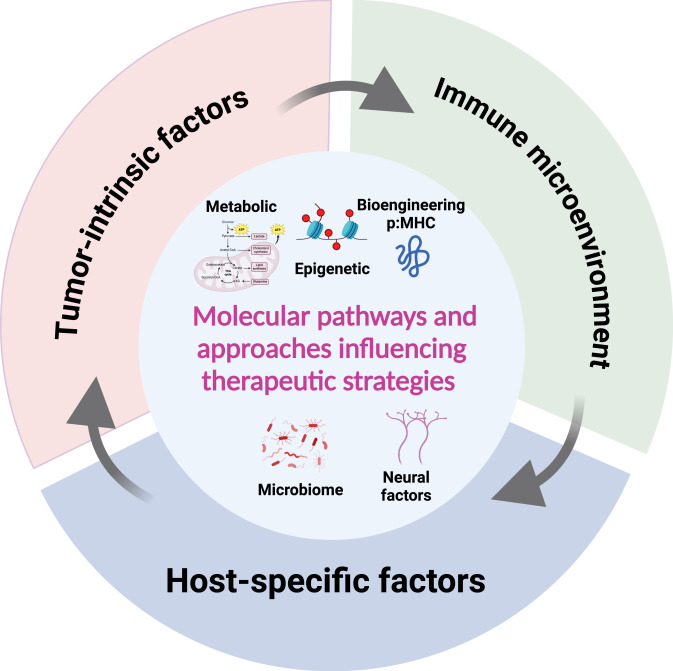 SGoswamiMDPhD's tweet card. Neoadjuvant immune checkpoint therapy (ICT) is revolutionizing cancer treatment and provides critical insights into human antitumor immunity. In their review, Pauken et al. highlight the recent...