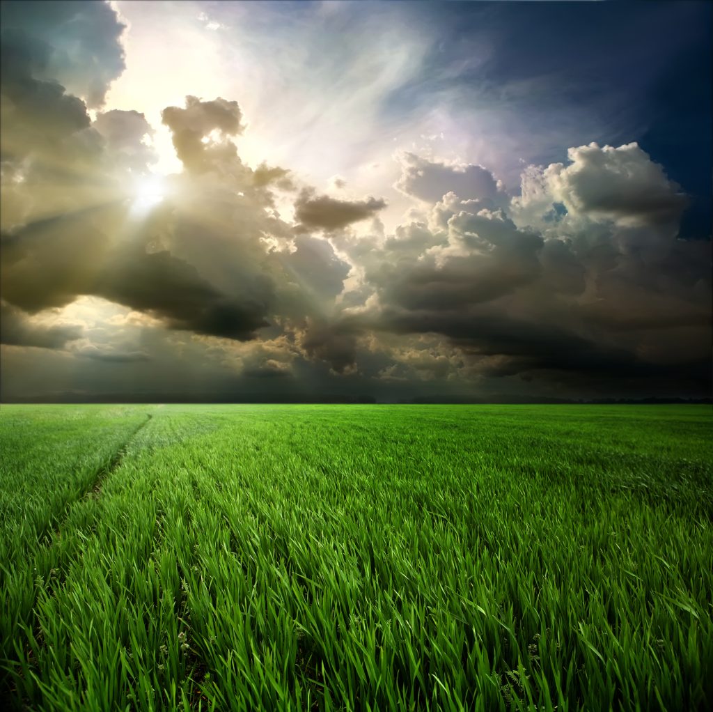 FMHins's tweet card. “The crop insurance industry applauds lawmakers for including critical crop insurance provisions in the newly passed budget bill. These provisions reflect a strong, continued commitment to protecting...