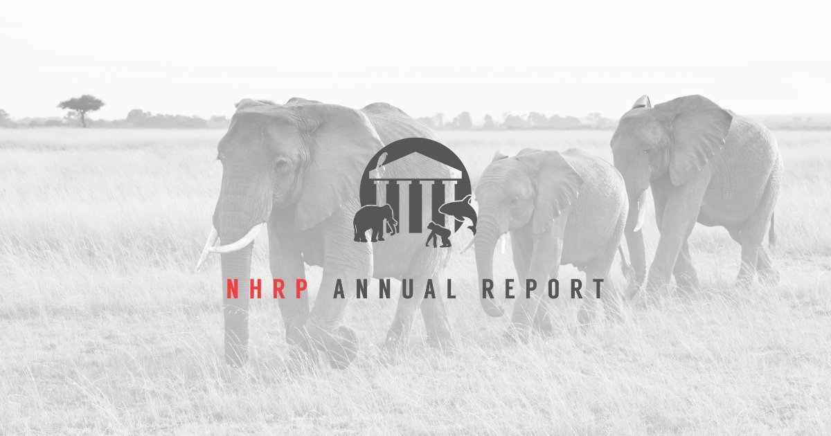 NonhumanRights's tweet card. Read the NhRP's 2023 Annual Report!