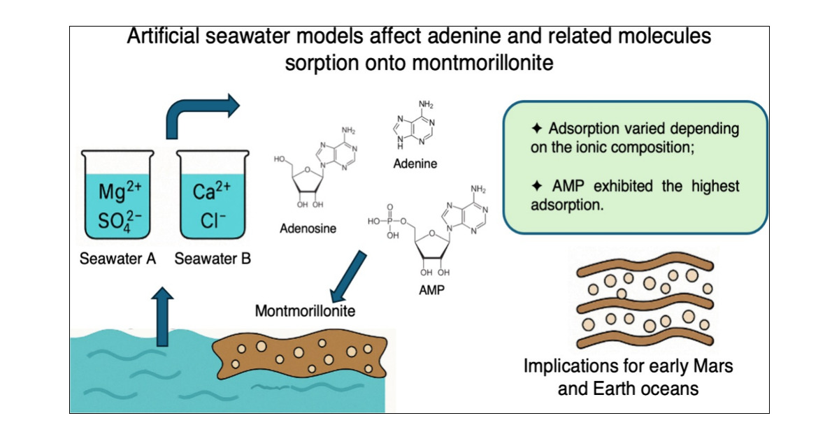 PCE3_Sci's tweet card. The adsorption of biomolecules onto mineral surfaces plays a crucial role in the context of prebiotic chemistry, as originally proposed by John Desmond Bernal. According to Bernal’s hypothesis, clay...
