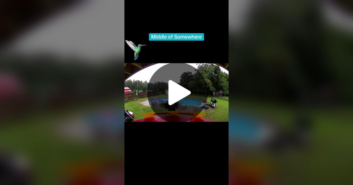 prehmbo's tweet card. Check out Pam’s video.