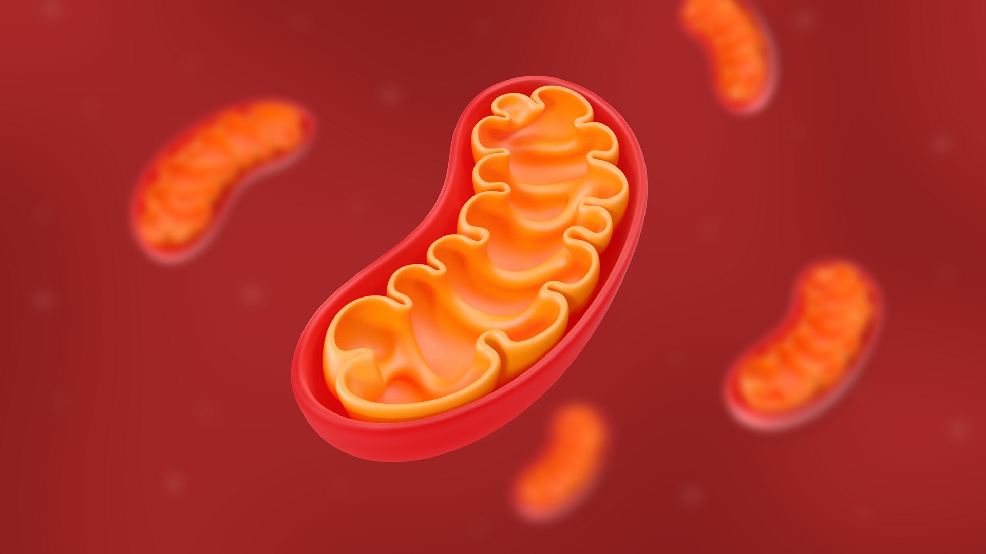 UCRCNAS's tweet card. A new UC Riverside molecule blocks DNA loss in mitochondria, helping prevent inflammation and chronic diseases.