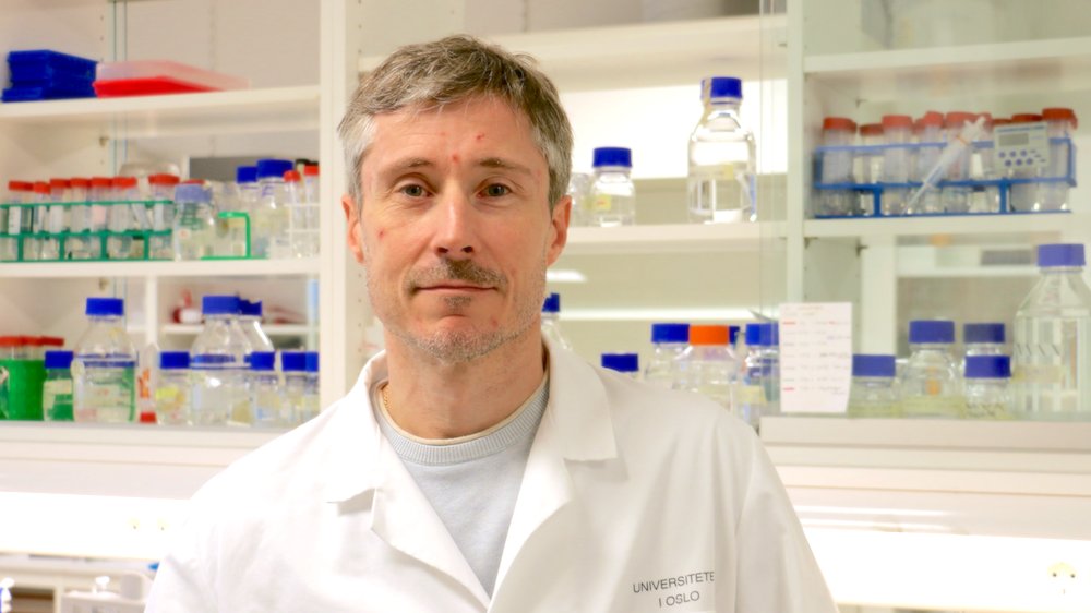 AMathelier's tweet card. Pierre Chymkowitch at the University of Oslo is awarded 12 million NOK by The Norwegian Research Council, to investigate how SUMOylation influences epigenetic stability and could prevent diseases...