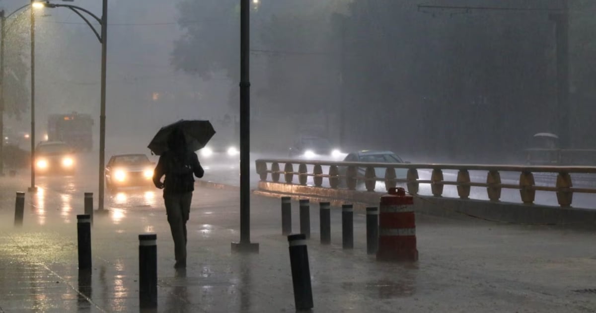 ElFinanciero_Mx's tweet card. ¡No guardes la sombrilla! Se esperan lluvias fuertes, chubascos y granizo en zonas del sur, poniente y oriente de la CDMX.