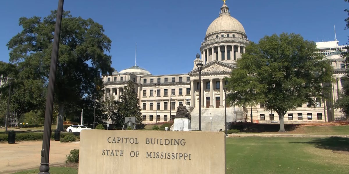 Sparks4Senate's tweet card. A special session is set to finalize the state budget since lawmakers concluded the regular session without doing so.