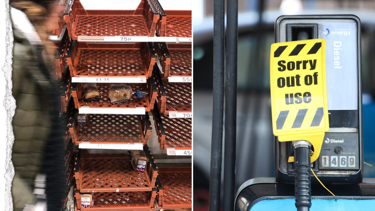 RosamundUrwin's tweet card. Britain faces shortages of fuel, food and medicine, a three-month meltdown at its ports, a hard border with Ireland and rising costs in social care in the event of a no-deal Brexit, according to an...