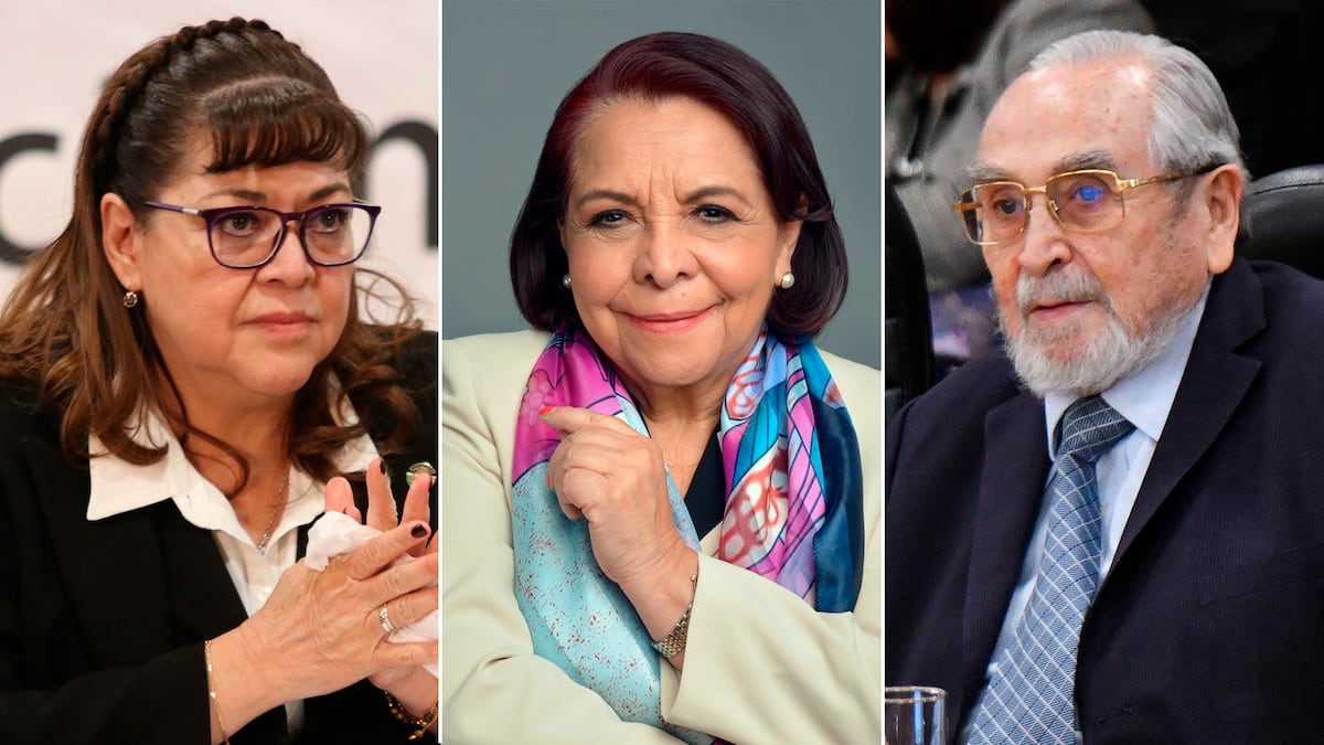 JavierCouso6's tweet card. Tres actuales consejeros (Celia Maya, Verónica de Gyves y Bernardo Batiz), la investigadora Indira García y el presidente del Tribunal de Conciliación federal Rufino H. León integrarán al poderoso...