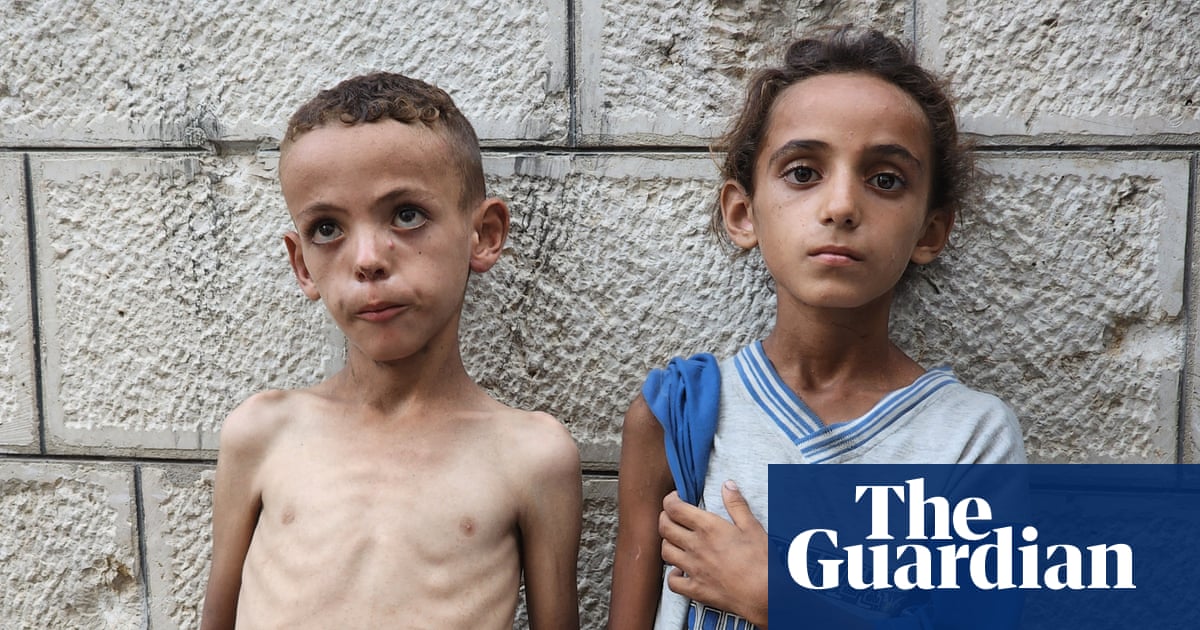 arneelof's tweet card. For months Israel kept food shipments to Gaza far below starvation rations. Now the death toll is rising rapidly