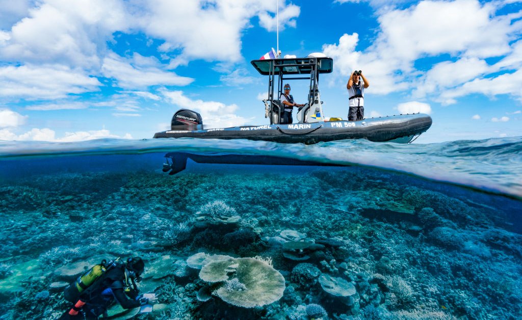 SchmidtOcean's tweet card. The more we explore and protect the ocean, the more we benefit, whether in the form of economic returns or scientific breakthroughs.