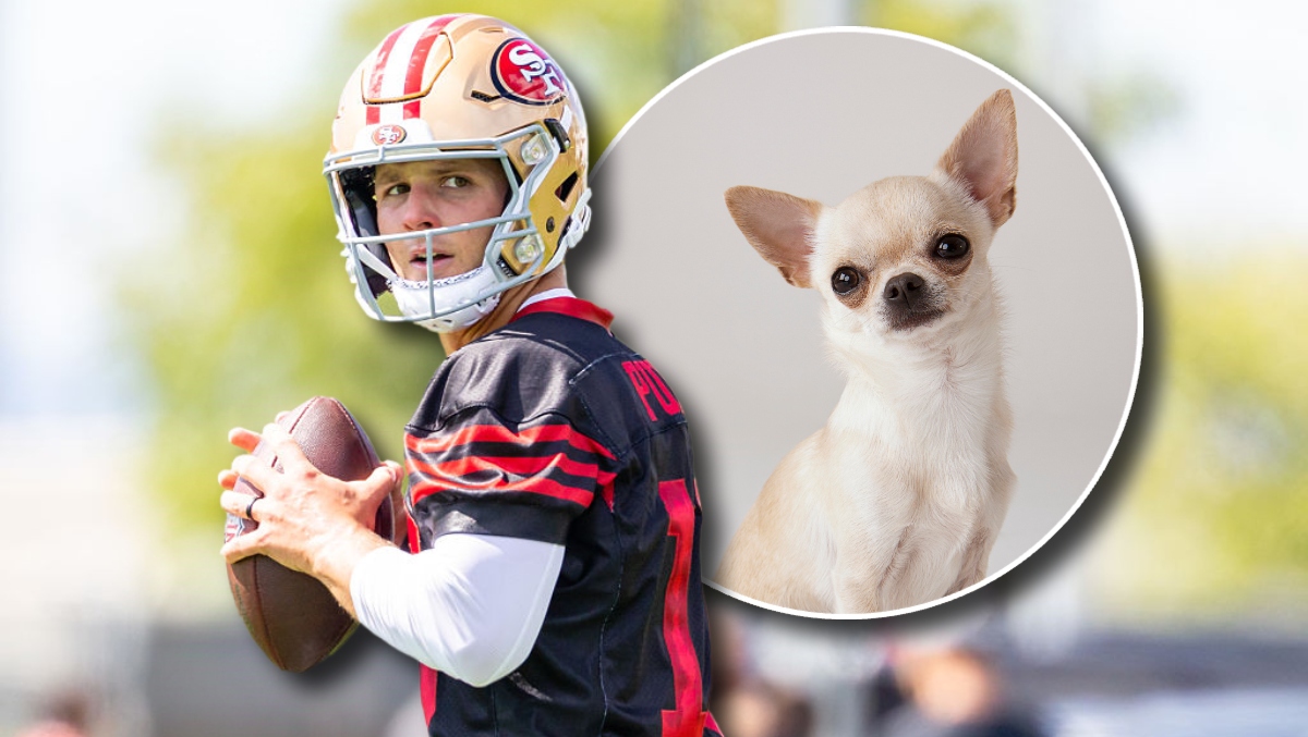 Matt_Reigle's tweet card. A 49ers fan decided to get quarterback Brock Purdy's autograph on, of all things, a dog carrier with the dog still inside.