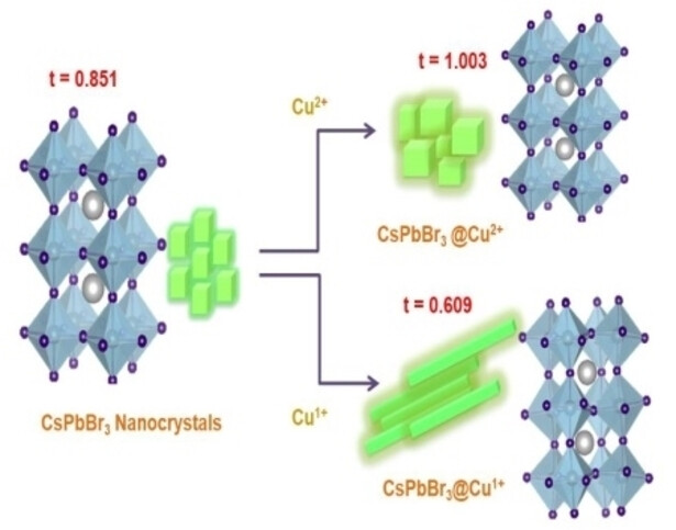 ChemNanoMat's tweet card. Phase transition and anisotropy tuning in CsPbBr3 nanocrystlas is achieved using Cu1+ seeded room temperature interactions. Addition of Cu2+ on the other hand results in no phase change. Facile room...