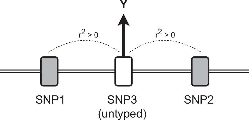 CAMBRIDGE_CEU's tweet card. Nature Communications - Polygenic scores aim to capture genetic risk but may miss nonlinear genetic and environmental interactions. Here, the authors show that neural networks detect limited...