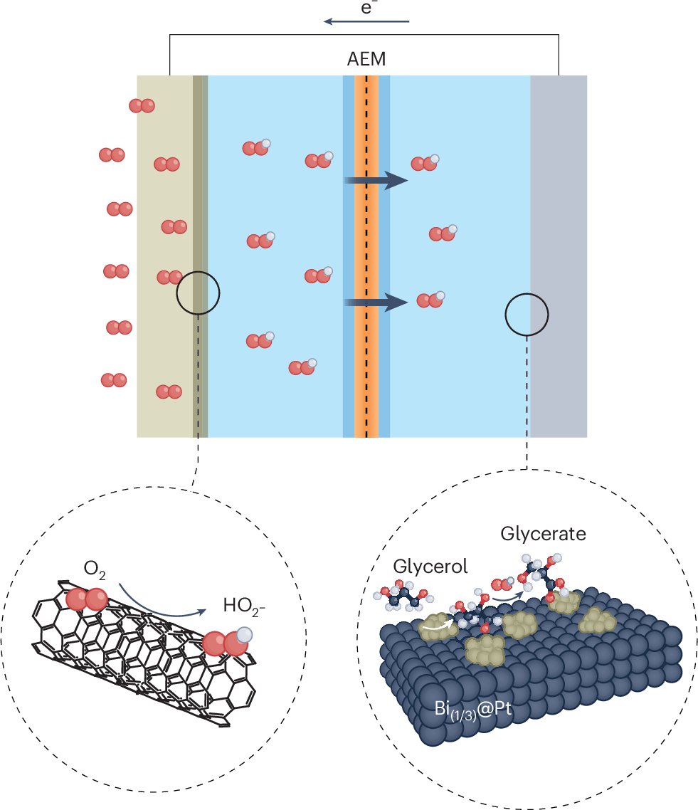NatureSynthesis's tweet card. Nature Synthesis - Combining cathodic oxygen reduction with anodic glycerol oxidation results in simultaneous chemical synthesis and renewable electricity production.