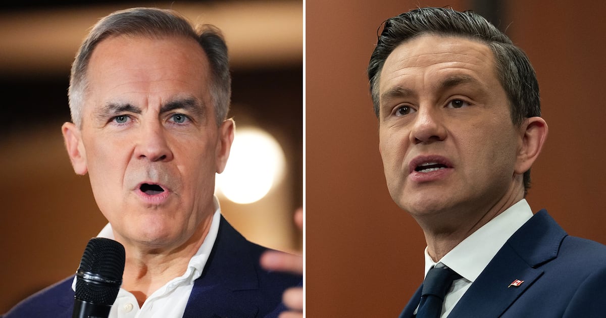 Pitbullatlarge's tweet card. The latest seat projections from Nanos Research have put Mark Carney’s Liberals in minority government territory, down 17 ridings from last week.