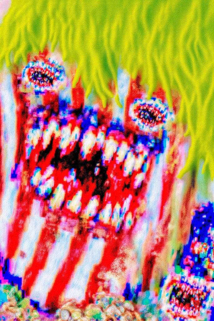quaseobjeto's tweet card. Flux + Kylodzi low-rank adaptation, digital manipulation, Upscayl, color correction 3328 × 4992 px