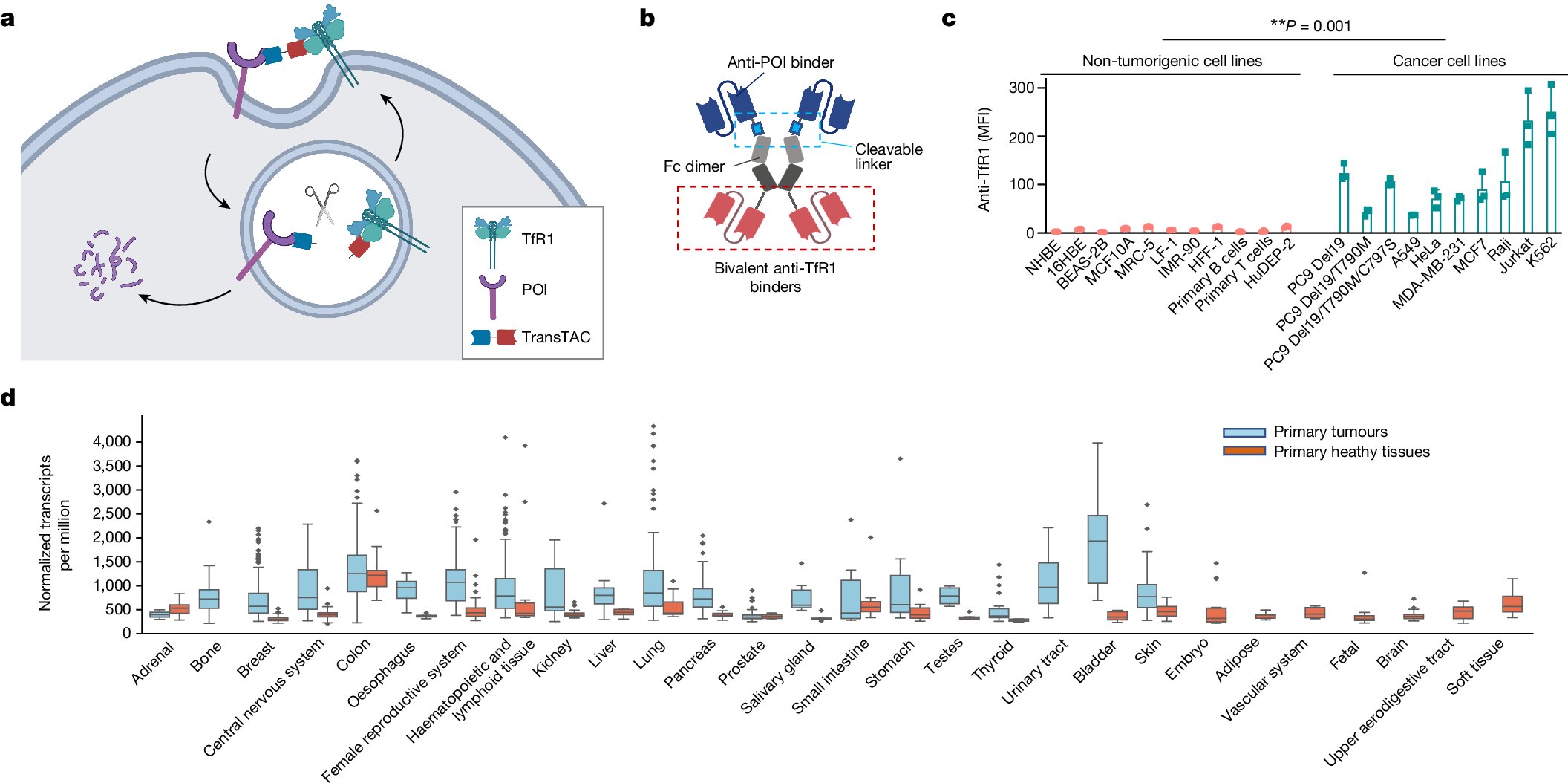 xinzhoulab's tweet card. Nature - Transferrin receptor targeting chimeras have been developed that enable targeting of drug resistance in epidermal growth factor receptor-driven lung cancer and reversible control of human...