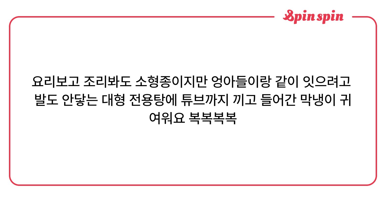 BONJU_1539's tweet card. 고슴도치