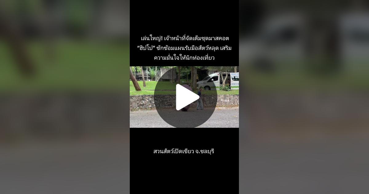 KhaokheowZoo's tweet card. ถูกใจ 127 ครั้ง 4 ความคิดเห็น "เล่นใหญ่! เจ้าหน้าที่จัดเต็มชุดมาสคอต “ฮิปโป” ซักซ้อมแผนรับมือสัตว์หลุด เสริมความมั่นใจให้นักท่องเที่ยว"