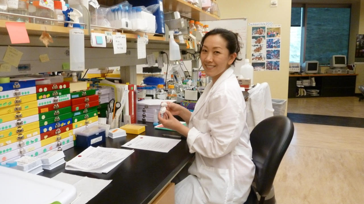 BryanWelm's tweet card. It is with heavy hearts that we share that Dr. Yoko DeRose passed away on February 14, 2024 a… Alana Welm needs your support for Dr. Yoko DeRose memorial fund