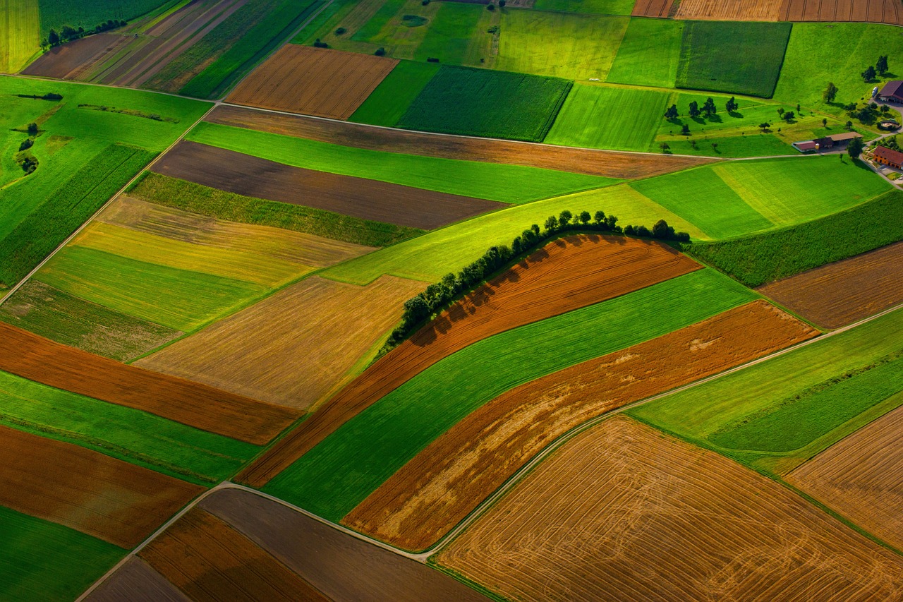 Randall_K_C's tweet card. End of the brown field? Regenerative agriculture brings ecological benefits - BES is the largest scientific society for ecologists in Europe. We're working towards a world in which nature and people...