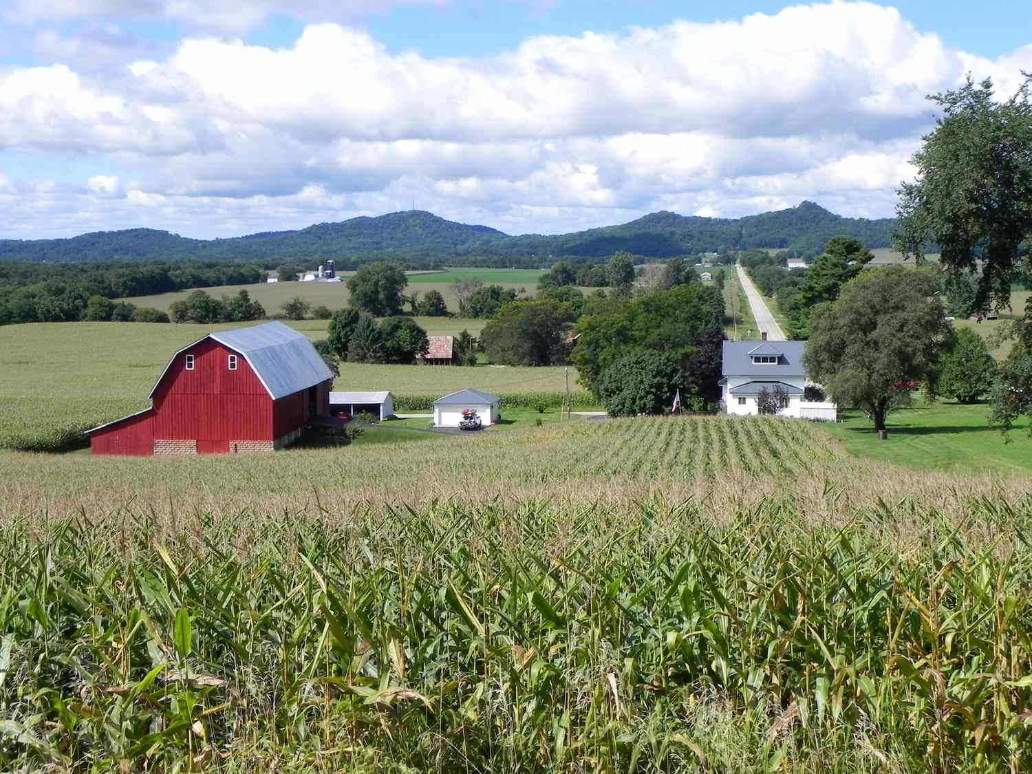 SuccessfulFarm's tweet card. Indiana Republican Sen. Jim Banks dubbed the announcement “huge news” for Indiana. The junior senator led a group of Hoosier agriculture stakeholders who met with Agriculture Secretary Brooke Rollins...
