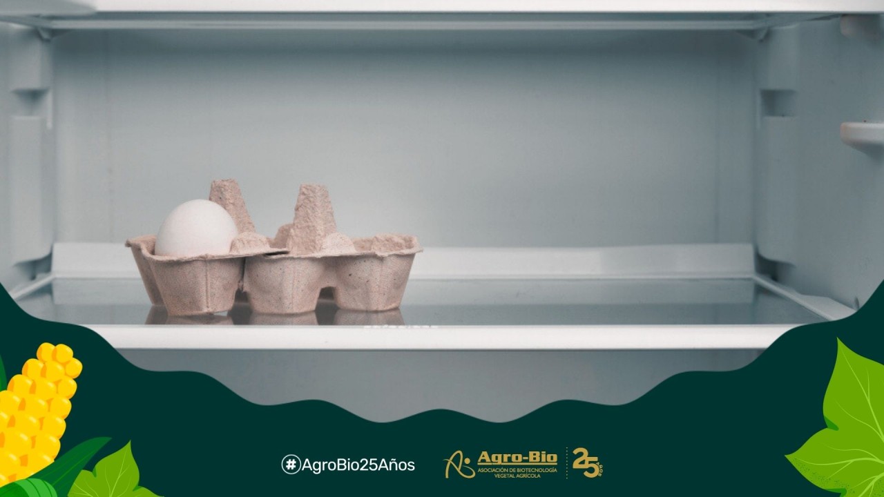 Agrobio_andina's tweet card. Cuando escuchamos "seguridad alimentaria", seguramente lo primero que se nos viene a la mente es una nevera o alacena llena de comida. Y sí, en parte es tener disponibilidad de alimentos, pero el...