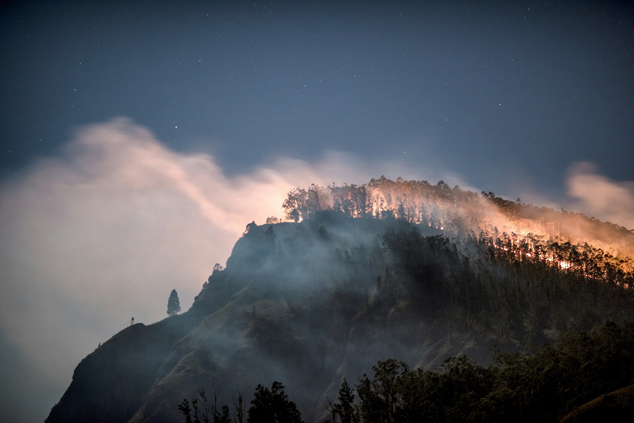 JoinClarity's tweet card. An examination of wildfire seasons in North America over the past decade reveals how climate change and human activity are driving more frequent and intense fires.