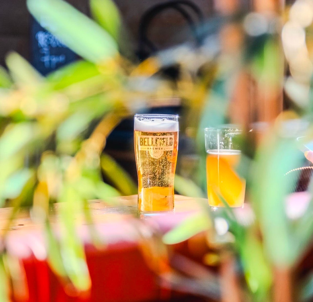 CrispMalt's tweet card. Sarah Marshall, our Technical Sales Manager, talks us through Gluten Free Beer, how to brew it, and shares brewery success stories!