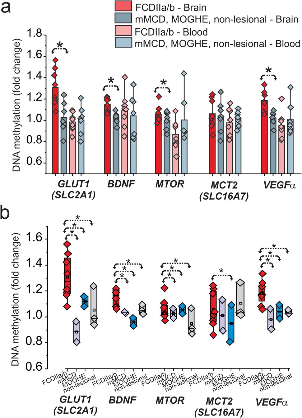 SamElOsta1's tweet card. Molecular Neurobiology - Focal cortical dysplasia (FCD) is a significant etiological factor in drug-resistant epilepsy, linked with disturbances in neurovascular metabolism. Our study investigated...