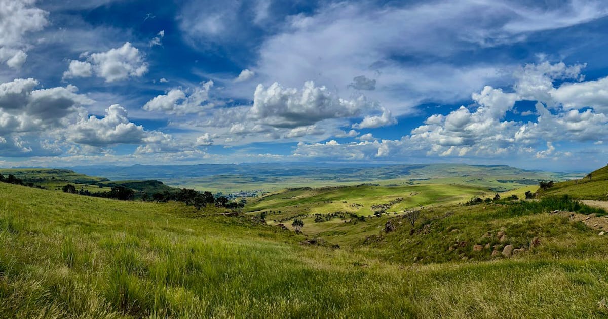 ConservationOrg's tweet card. Once blamed for destroying South Africa's grasslands, local herders now hold the key to saving them.