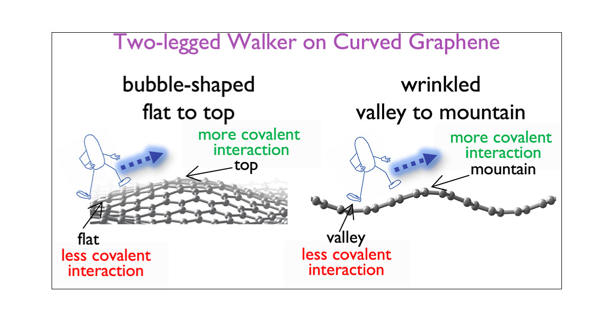 _SayanBanerjee's tweet card. Attaining controllable molecular motion at the nanoscale can be beneficial for multiple reasons, spanning from optoelectronics to catalysis. Here we study the movement of a two-legged molecular...