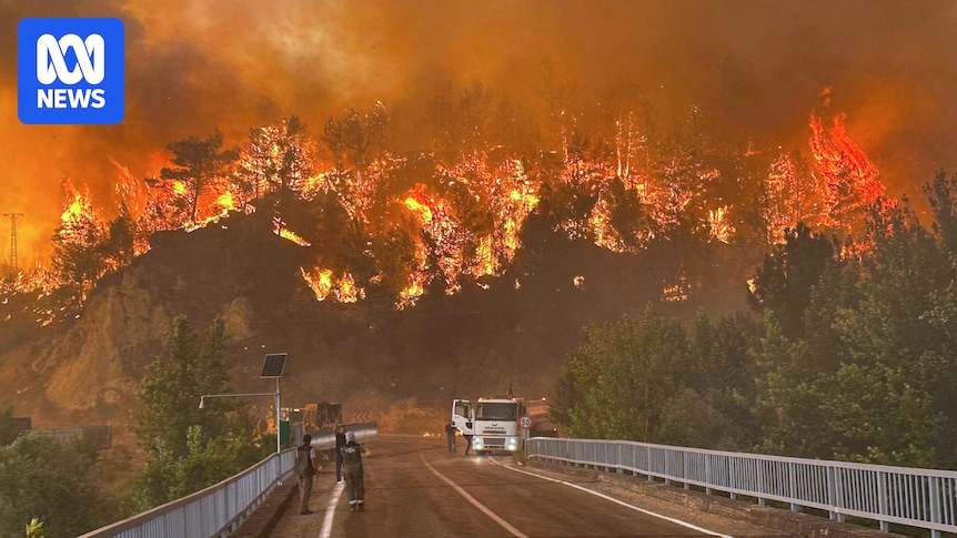 abcnews's tweet card. The deaths bring this year's wildfire death toll in the country to 13, amid strong winds, high temperatures, and dry conditions.