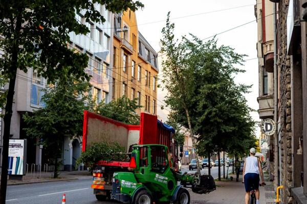 SmartCitiesW's tweet card. Latvian capital is aiming to plant 42 trees in its historic centre to enhance green infrastructure and improve the urban environment for residents and visitors.