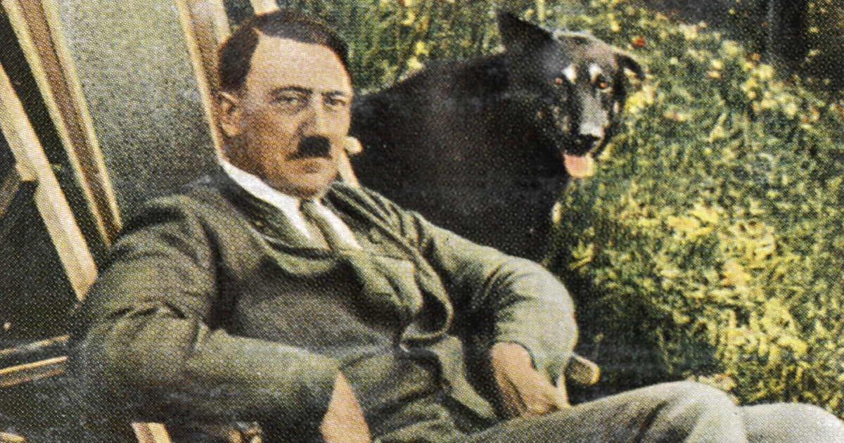 Thomas__Weber's tweet card. Medelmåttan Hitler kapade världen under sex år. Hans bok ”Mein Kampf” präglas mer av gnällig självömkan än fascistisk manlighet, skriver Nathan Shachar.