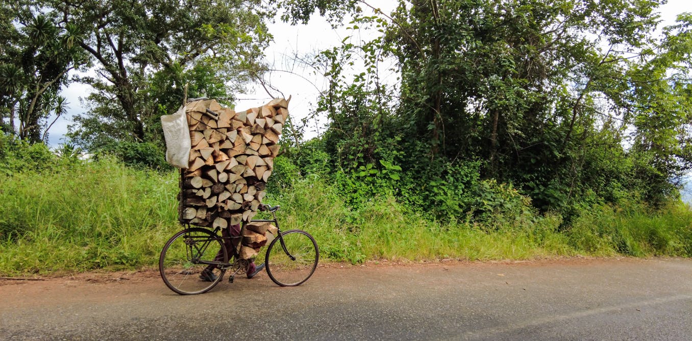 TC_Africa's tweet card. In rural Malawi, women influence discussions on how to combat climate change in communities that depend on forests for survival.