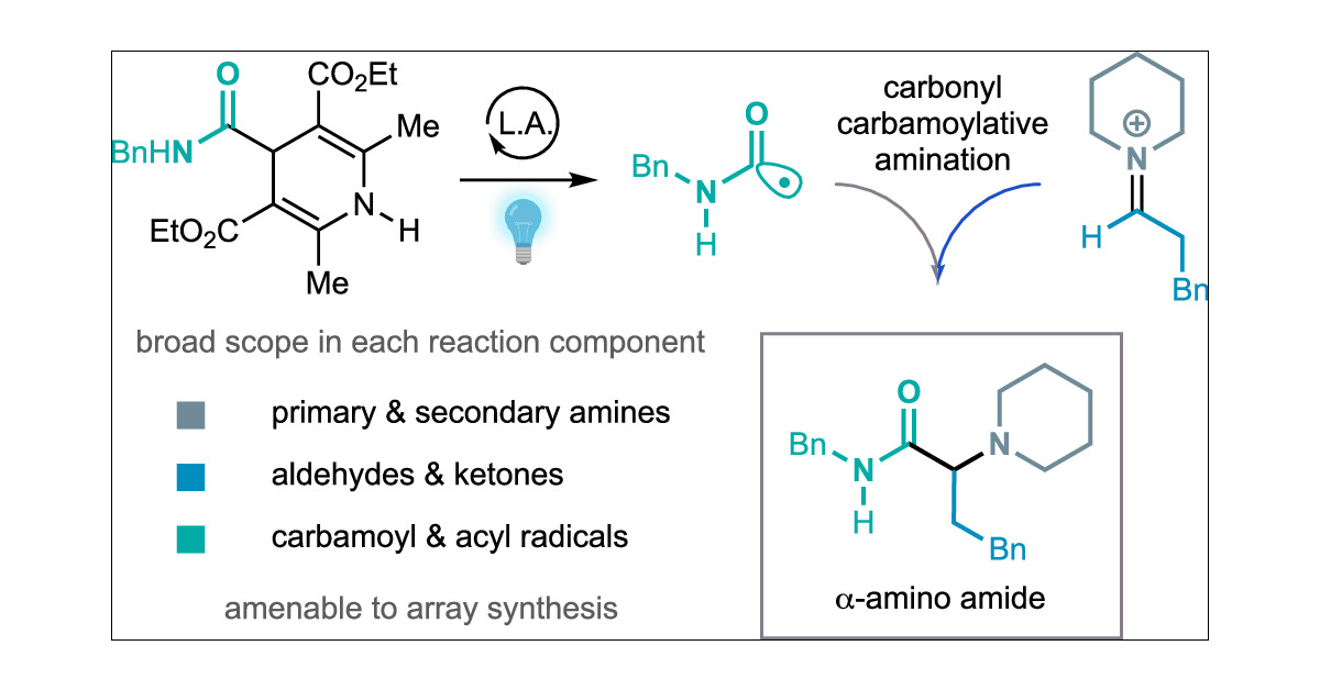 MatthewGaunt8's tweet card. Modulating the basicity of alkylamines is a crucial factor in drug design. Consequently, alkylamines with a proximal amide, ester, or ketone have become privileged features in many pharmaceutical...