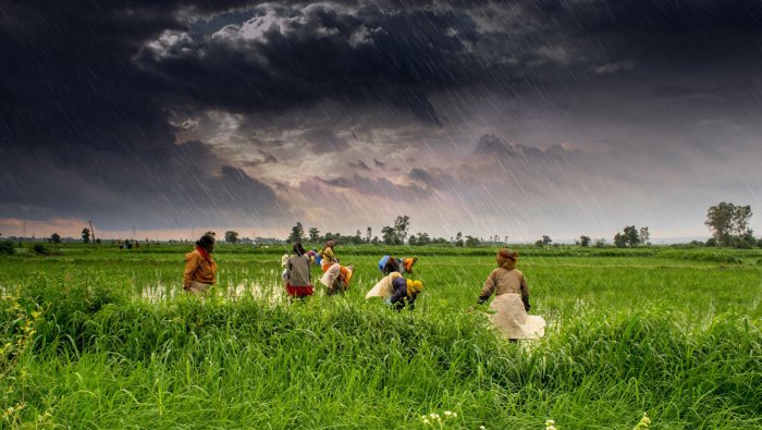 rishpardikar's tweet card. Despite opposition from a senior union minister and an association of experts, the NITI Aayog, the government’s think tank, urged the closure of 199 district agro-meteorological units, which were...